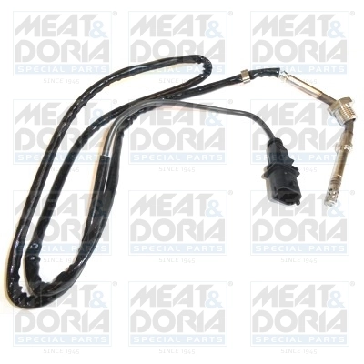 Sensor, exhaust gas temperature